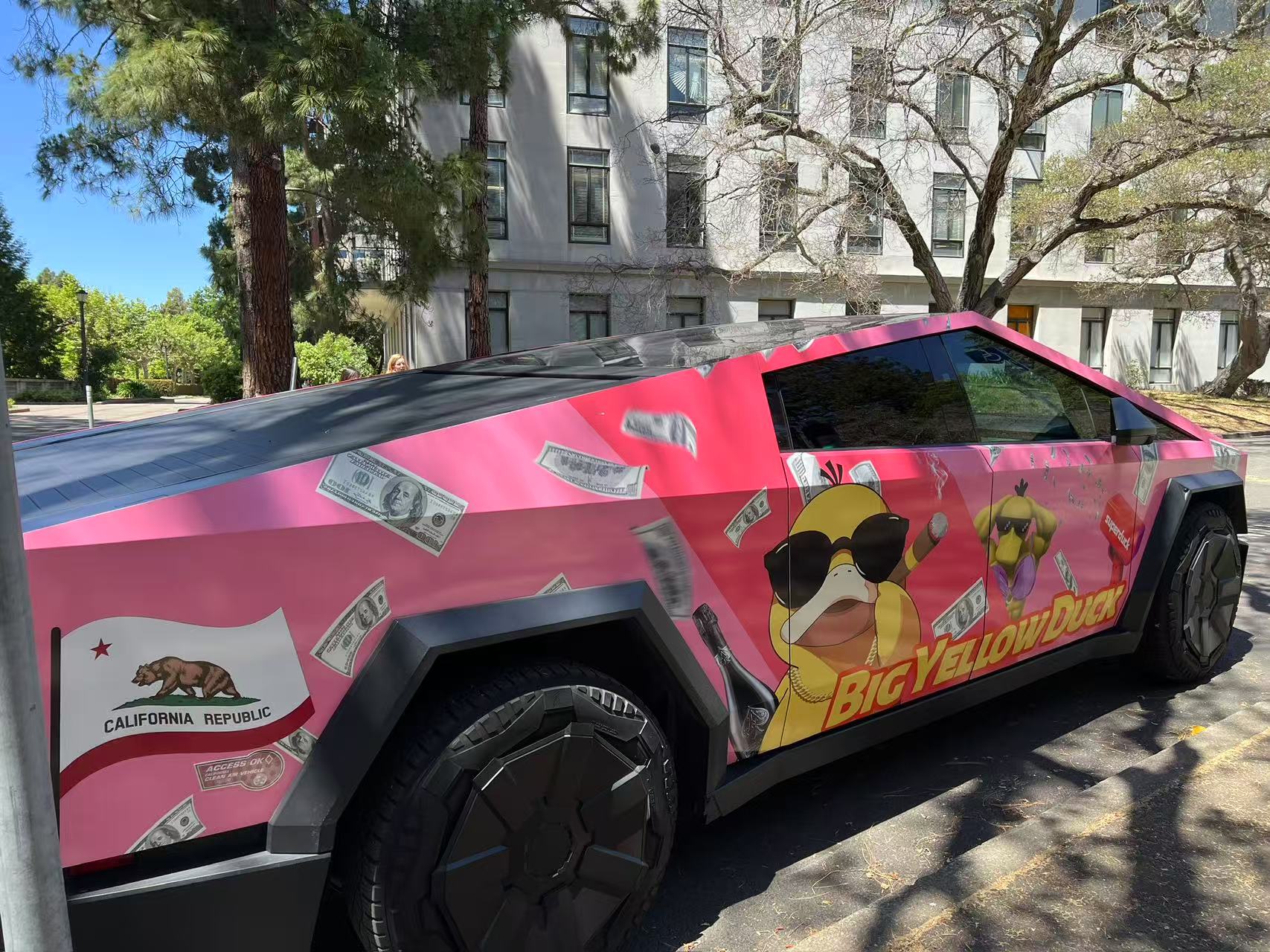 pain car