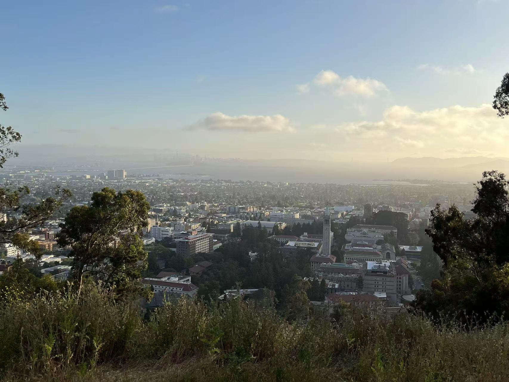 view point